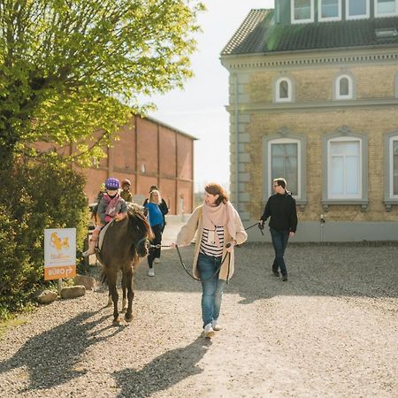Buedlfarm - Der Familien-Erlebnishof In Strandnaehe Fehmarn Exterior foto
