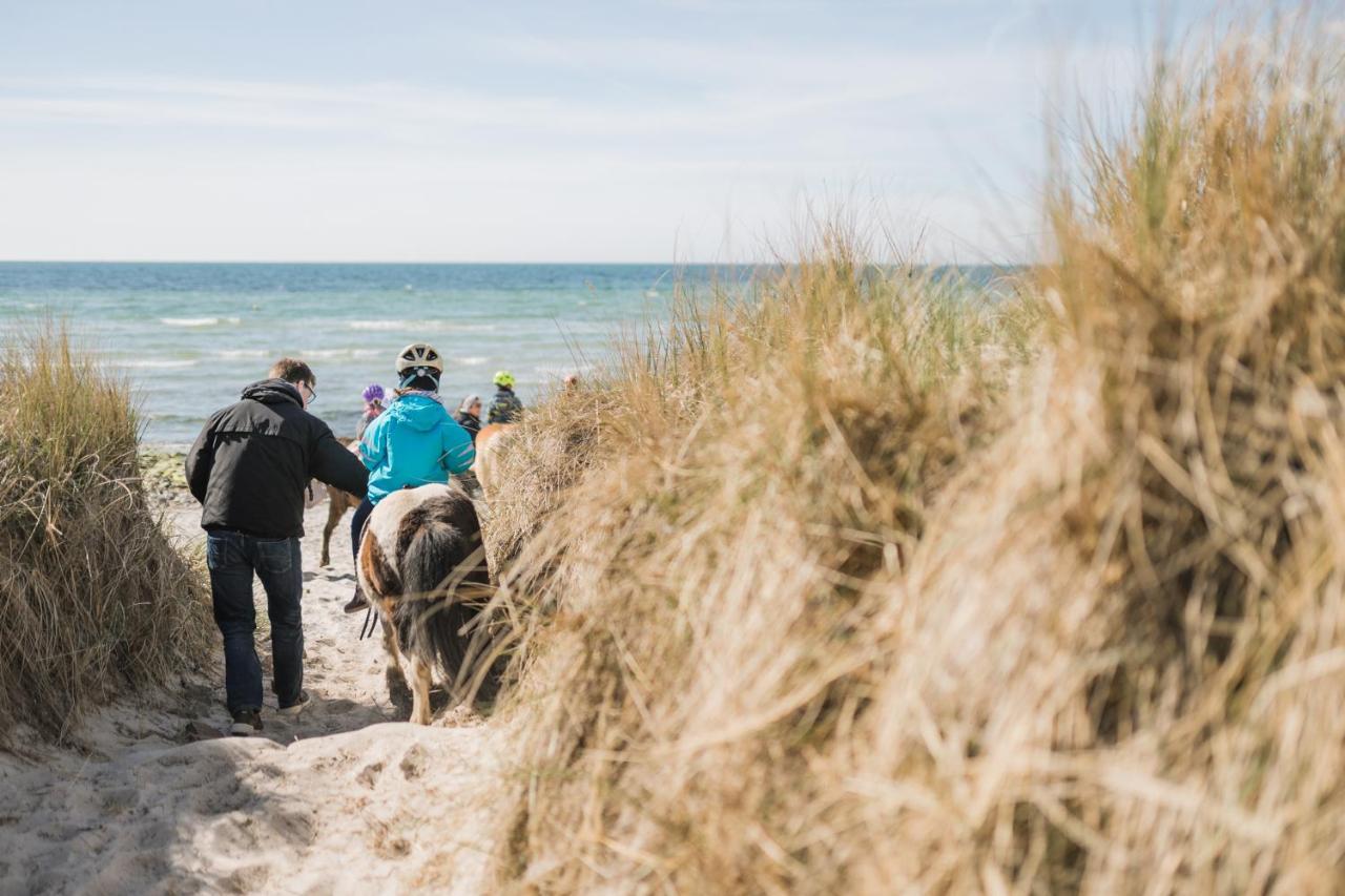 Buedlfarm - Der Familien-Erlebnishof In Strandnaehe Fehmarn Exterior foto